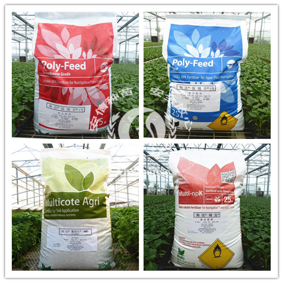 以色列海法保瑞丰系列进口水溶肥_安信种苗