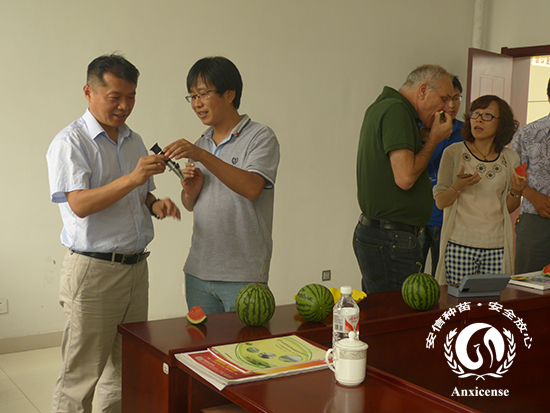 安信种苗董事长韩吉书亲自检测无籽西瓜的含糖量